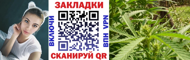 Виды наркотиков купить Кимры Галлюциногенные грибы  OMG зеркало  МЕФ 