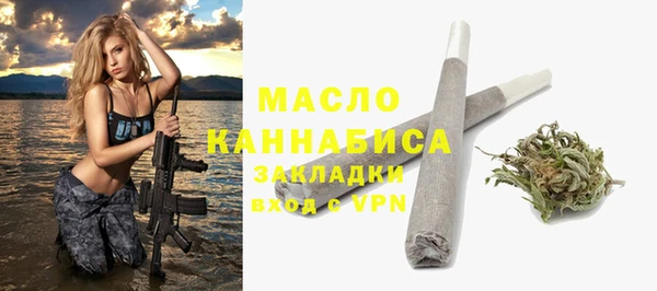 гидра Саяногорск