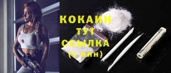 дживик Верхний Тагил
