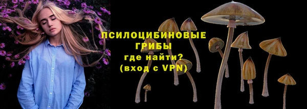 а пвп мука Верея