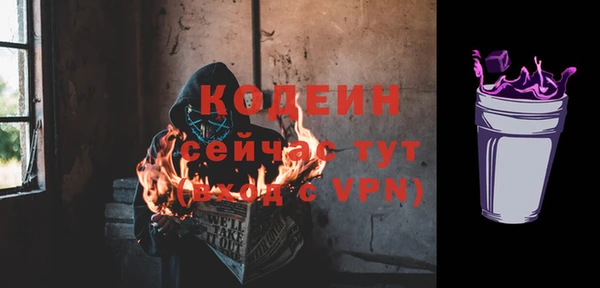 дживик Верхний Тагил