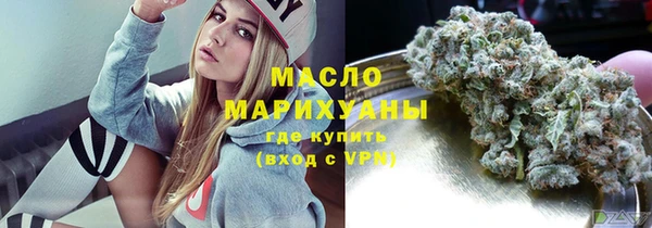 дживик Верхний Тагил