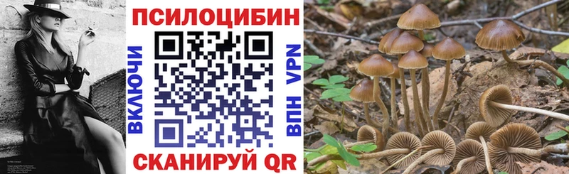 Галлюциногенные грибы Psilocybe Кимры